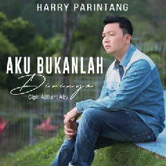Set Harry Parintang Cover mp3