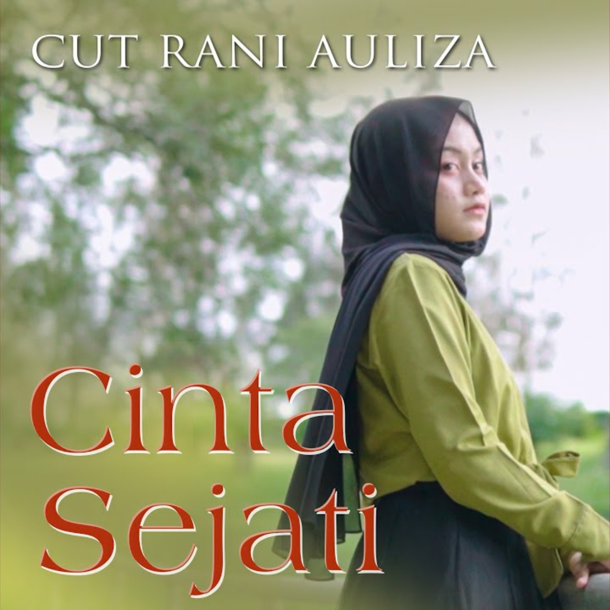 Set Cut Rani Auliza Cover mp3